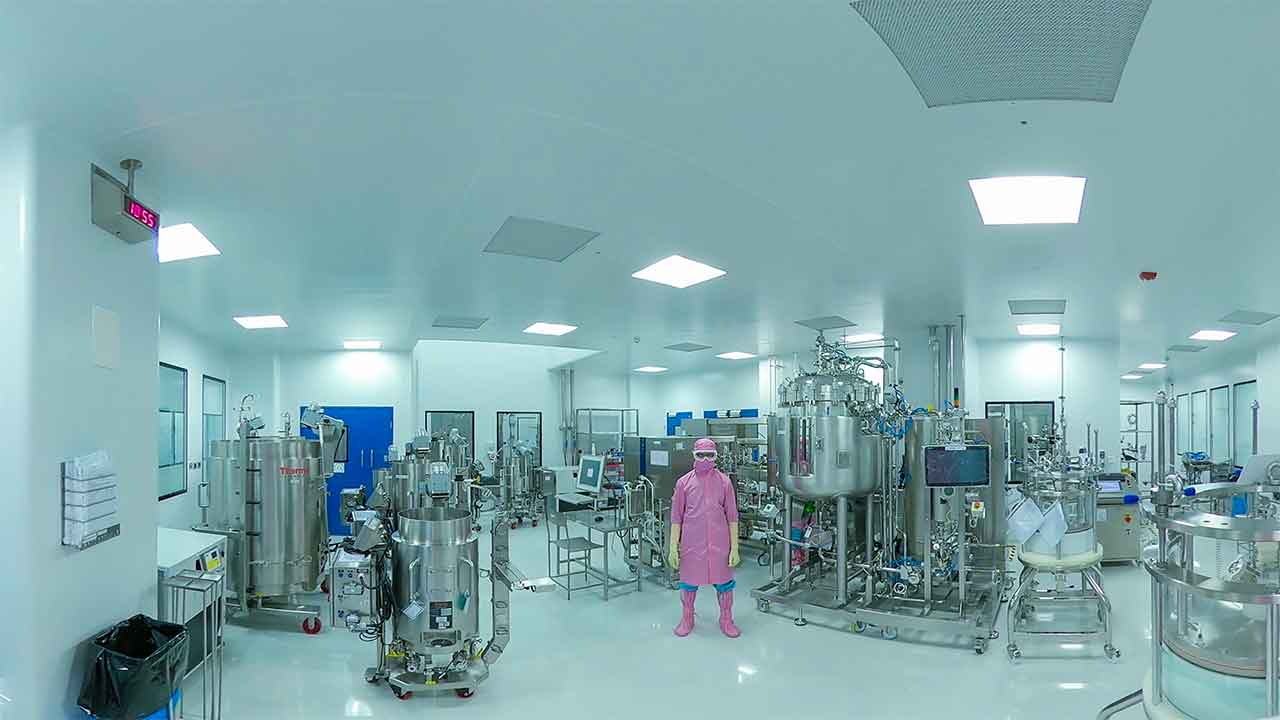 Biologics Manufacturing Facility:  Downstream Processing