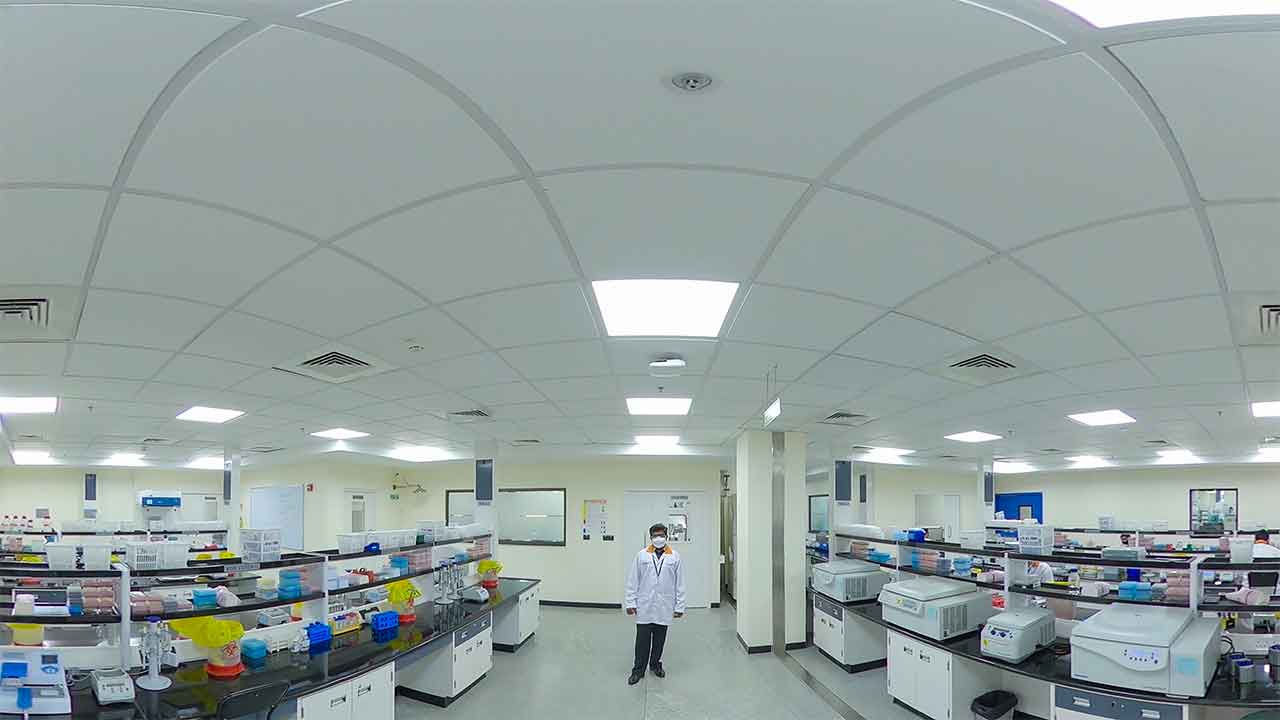 Drug Metabolism And Pharmacokinetics (DMPK) Labs